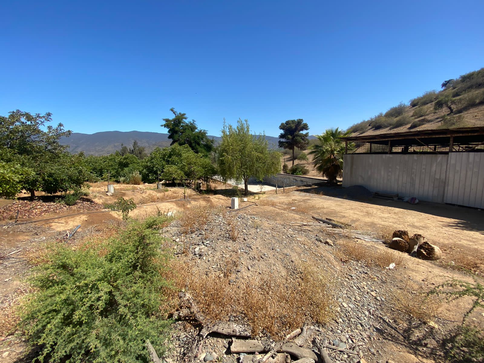 Venta de parcela de 11 hectáreas en Nogales, V Región.