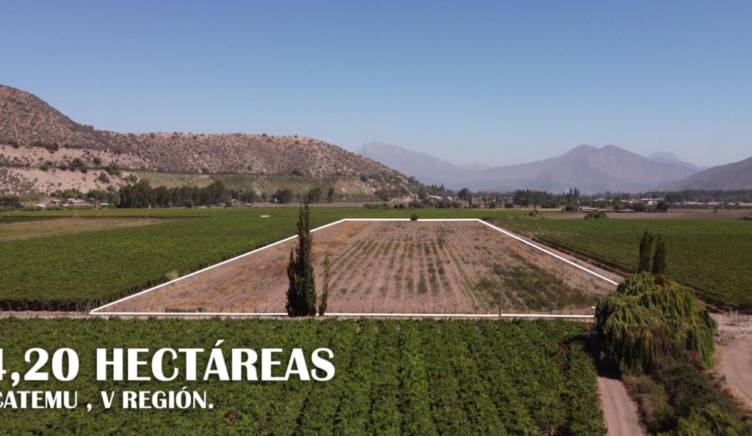 lote 4,30 hectareas