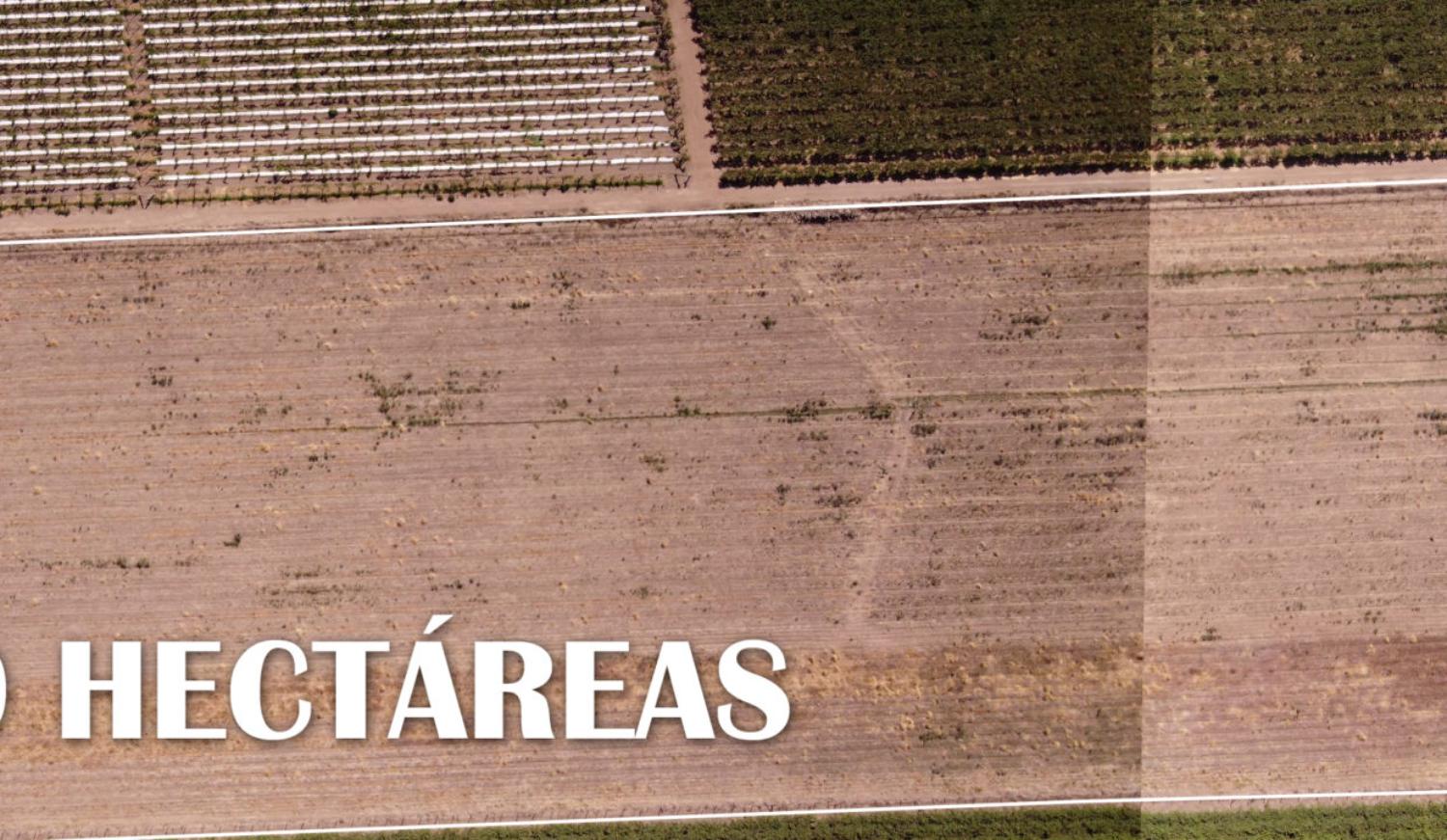 lote 4,30 hectareas 3