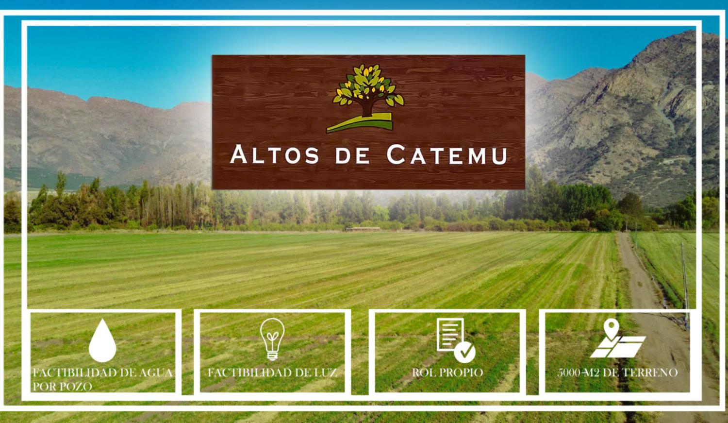 ALTOS DE CATEMU PNG 2022