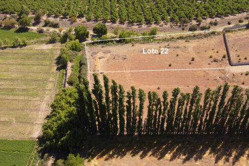 Lote 22, San Guillermo