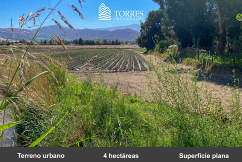 En venta gran terreno urbano de 4 hectáreas en San Felipe, V Región ideal para proyecto inmobiliario de alta plus valía. 9