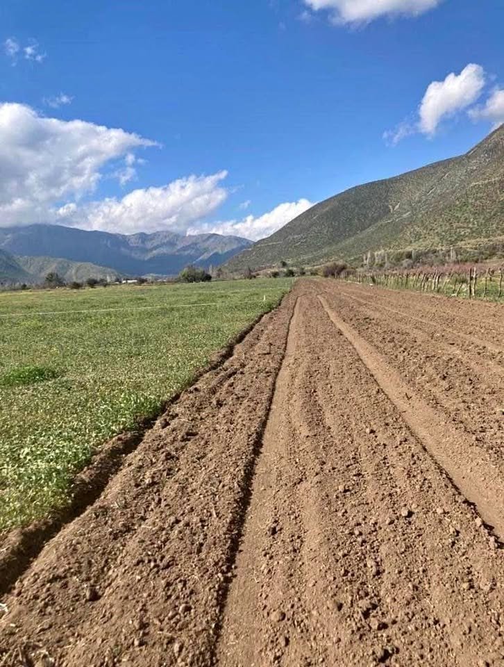 Venta de parcela plana 5000 m² con Derechos de Agua en Putaendo (Cerca de San Felipe)