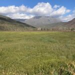 Terreno de 5000m² en Piguchén con vista panorámica y derechos de agua