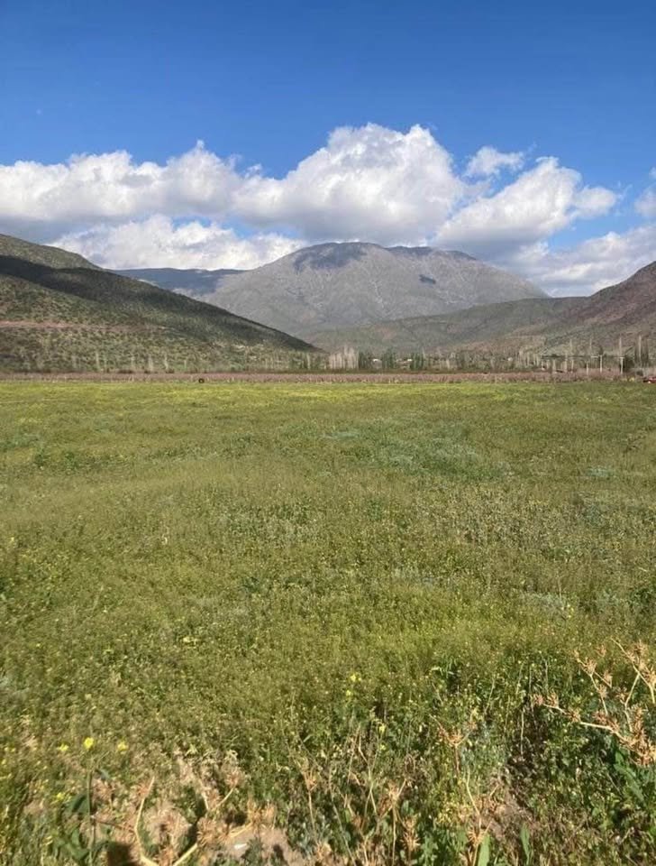 Venta de Parcela en Piguchén: Terreno Plano 5000m² con Agua de Riego