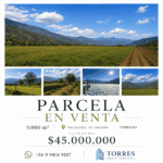 Venta de Parcela en Piguchén: Terreno Plano 5000m² con Agua de Riego 6 Venta de Parcela en Piguchén: Terreno Plano 5000m² con Agua de Riego 5