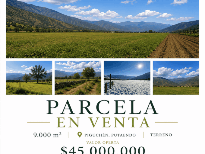 Venta de Parcela en Piguchén: Terreno Plano 5000m² con Agua de Riego 19