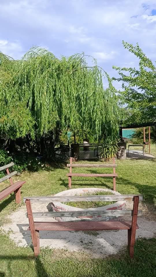 Foto 7