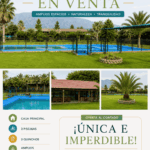 ¡Parcela de Ensueño en Putaendo! Ideal para Vivir, Emprender o Invertir 6 ¡Parcela de Ensueño en Putaendo! Ideal para Vivir, Emprender o Invertir 5