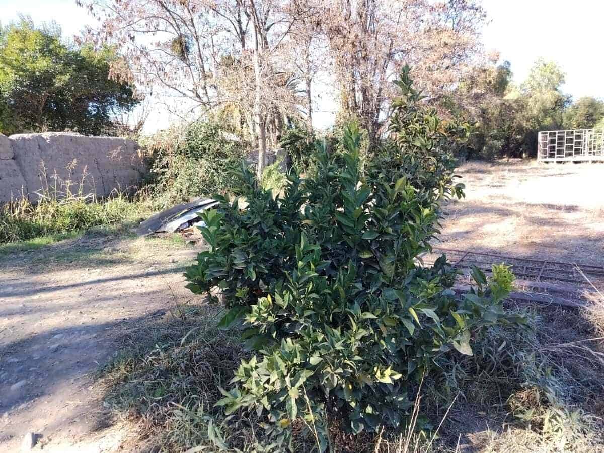 Foto 11