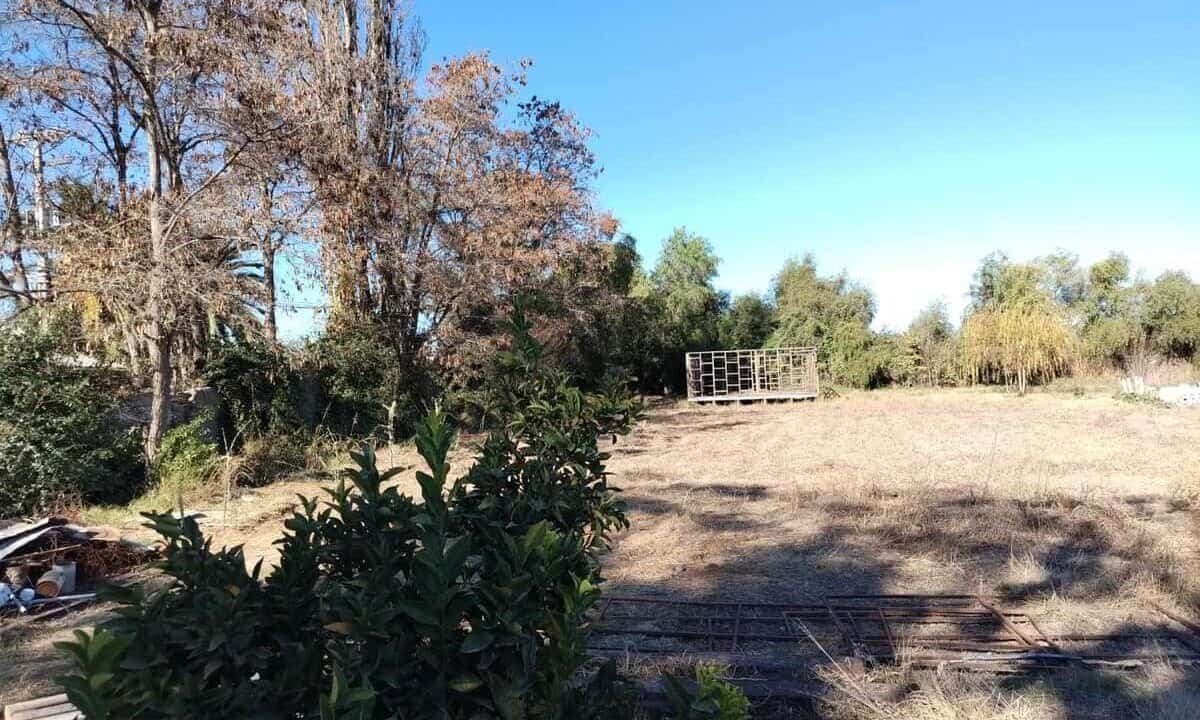 02 - Terreno Piedra del Leon 4.244m2
