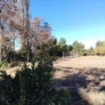 Terreno 4.244 m² con Casa Construida en Sector Piedra del León, San Felipe. 6 Terreno 4.244 m² con Casa Construida en Sector Piedra del León, San Felipe. 5