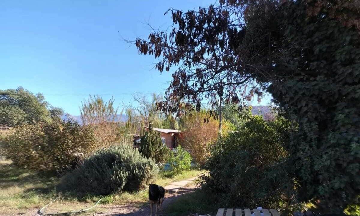 04 - Terreno Piedra del Leon 4.244m2