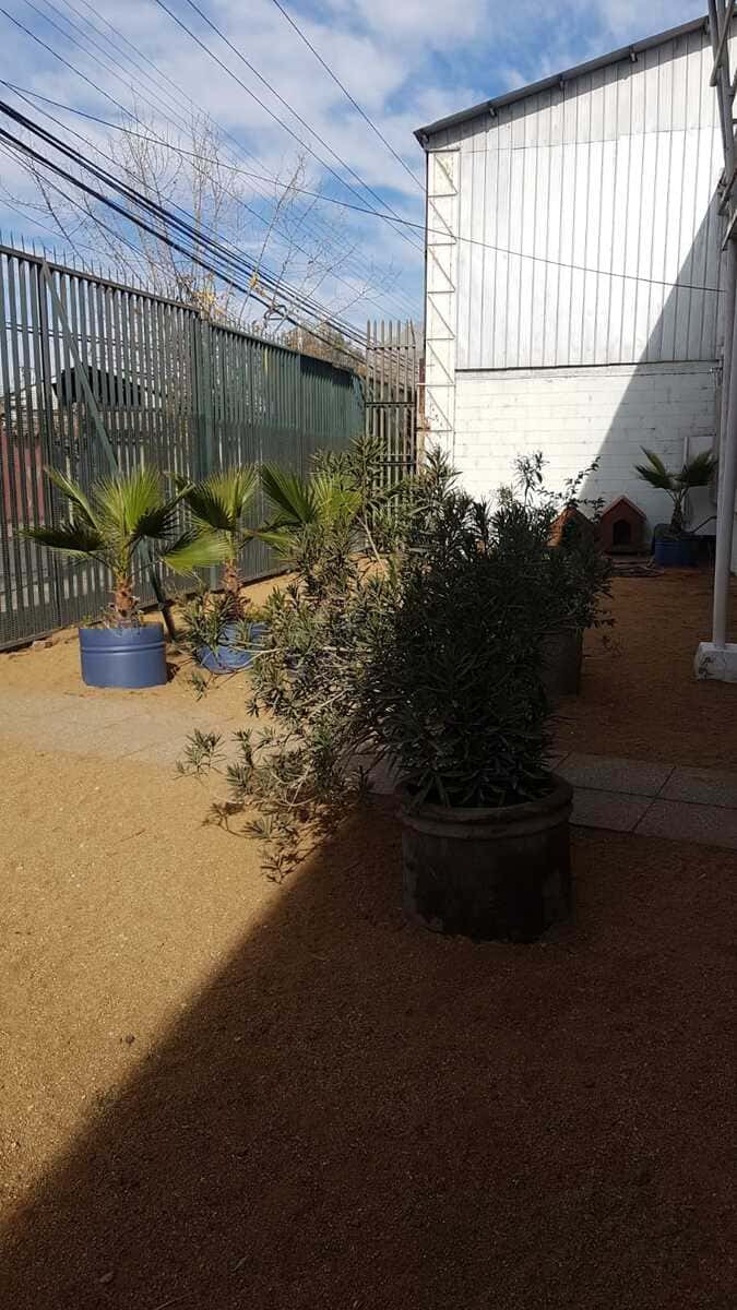 Foto 21